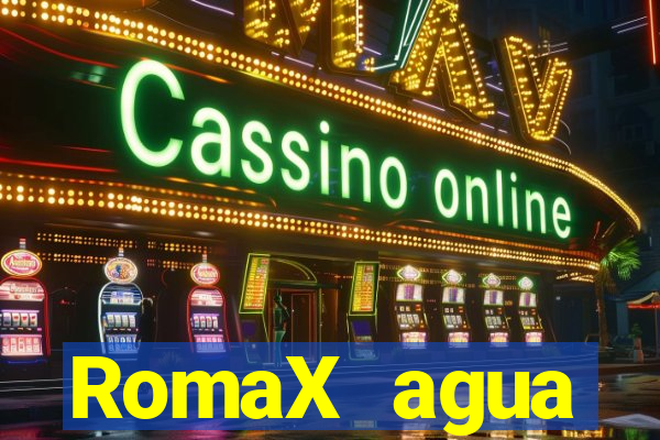 RomaX agua sanitaria fispq agua sanitaria romax